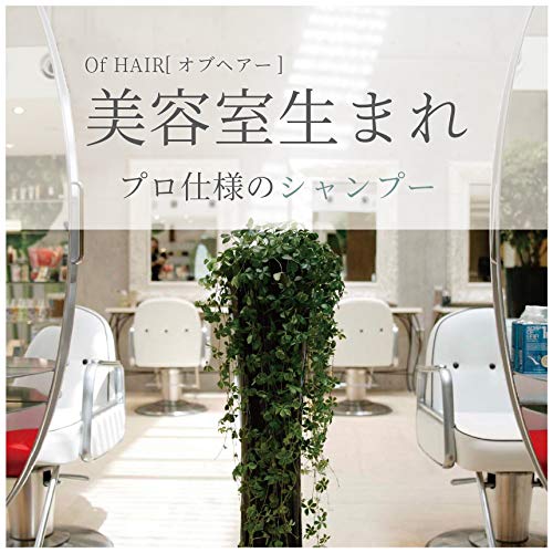 ソープオブヘア1-R