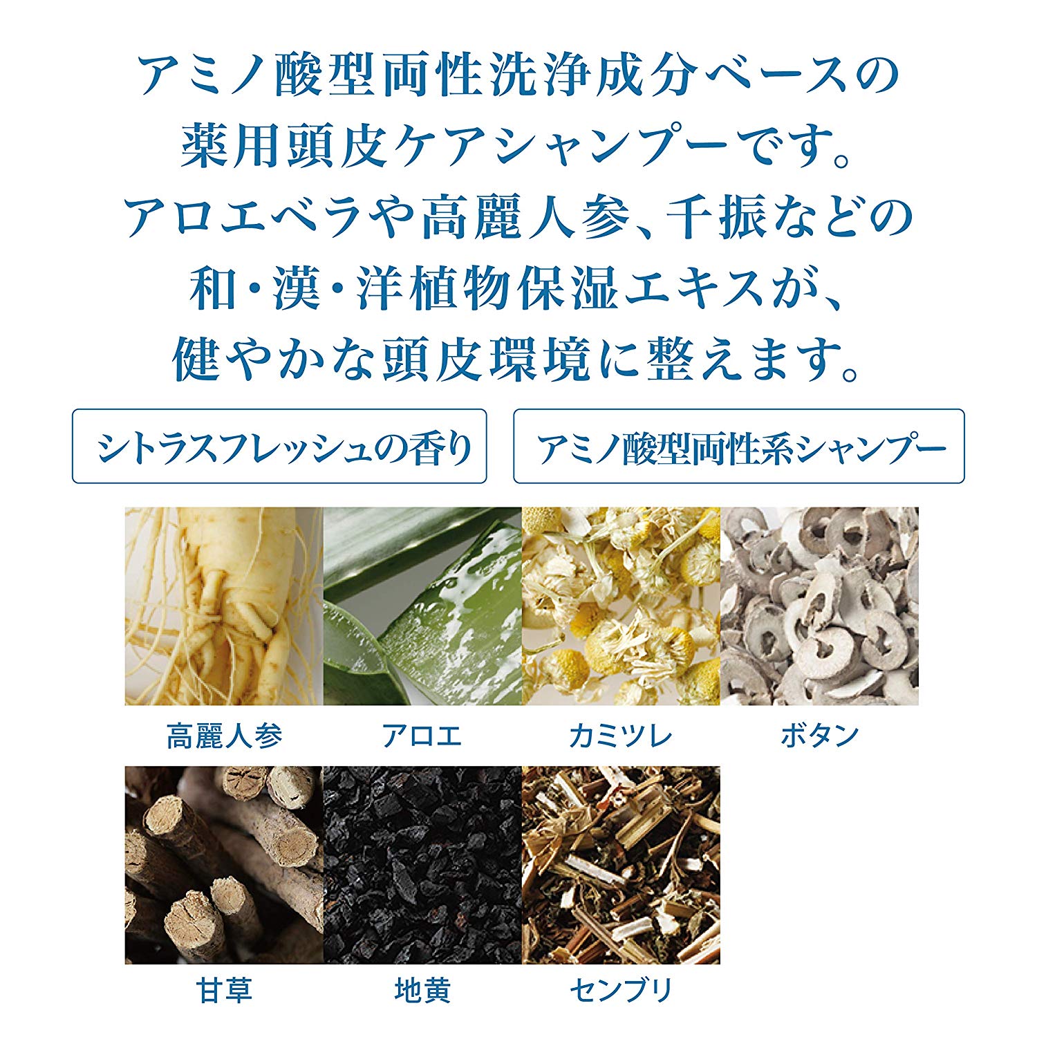 ソープオブヘア1-R