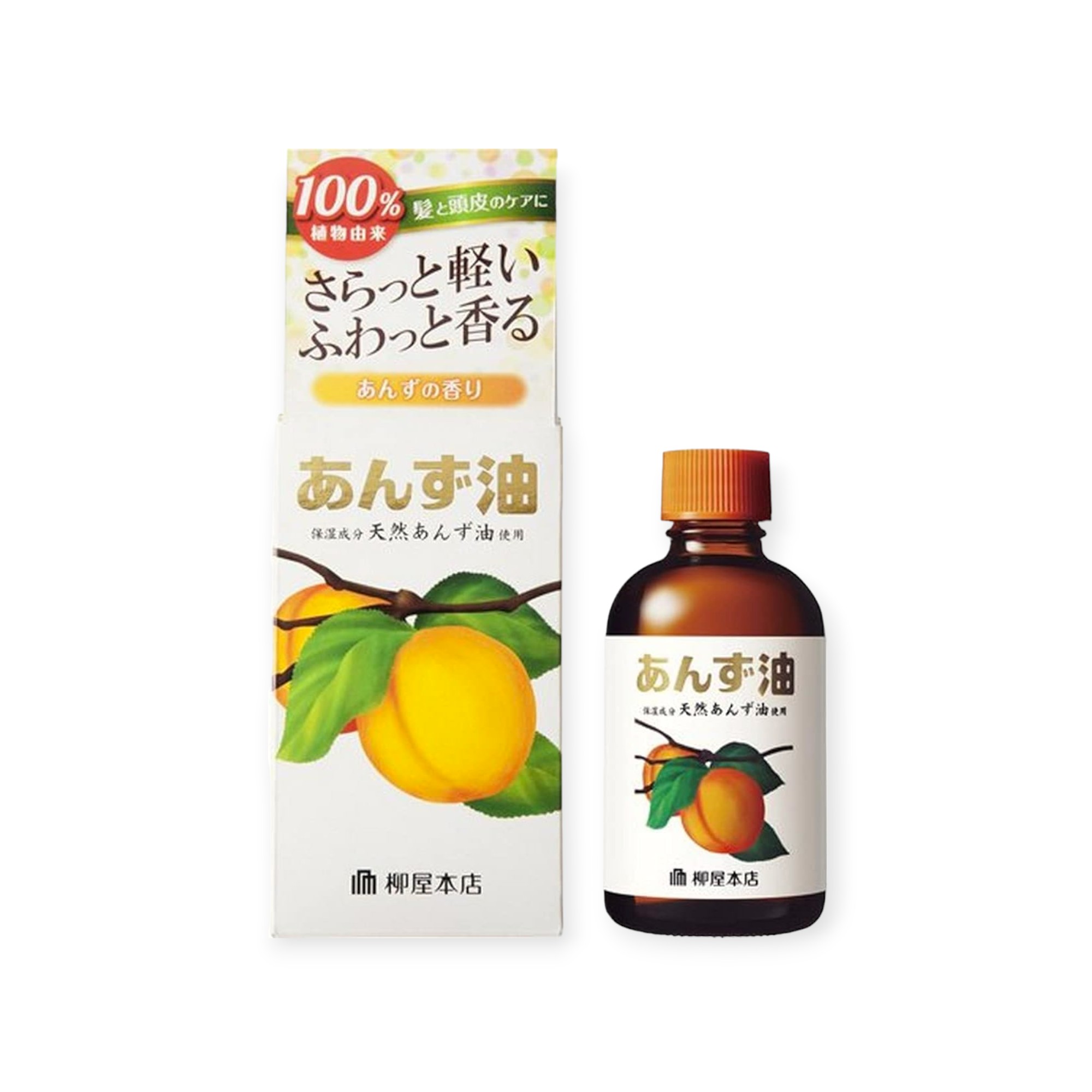 柳屋本店 柳屋 あんず油