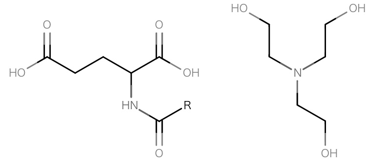 ココイルグルタミン酸TEAのイメージ