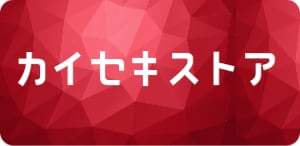 カイセキストア　解析ドットコムオフィシャル通販ストア